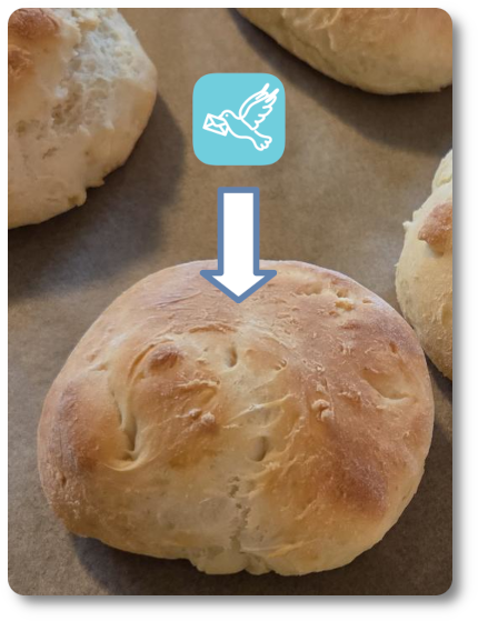 Rezeptbild